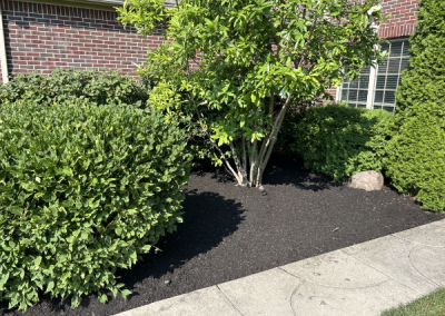 Monclova Mulch